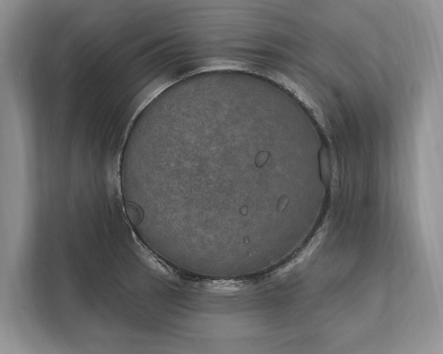 X0000112021137200908171425