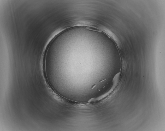 X0000112021138200908171425