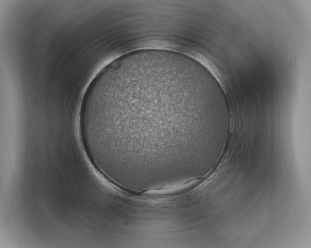 X0000112021139200908171425