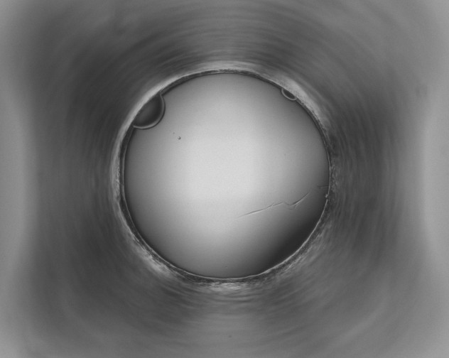 X0000112021140200908171425