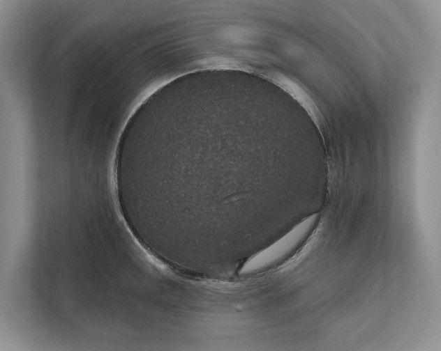 X0000112021141200908171425