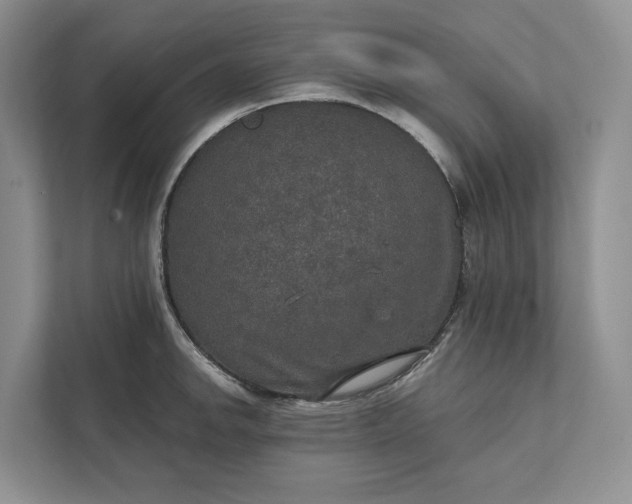 X0000112021142200908171425