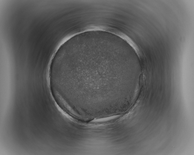 X0000112021143200908171425