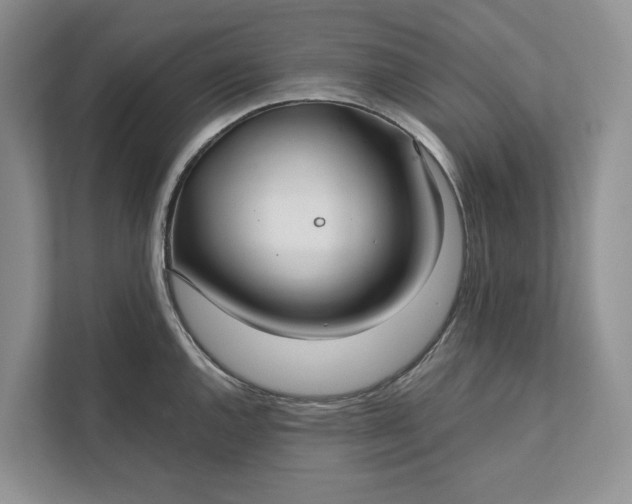 X0000112021144200908171425