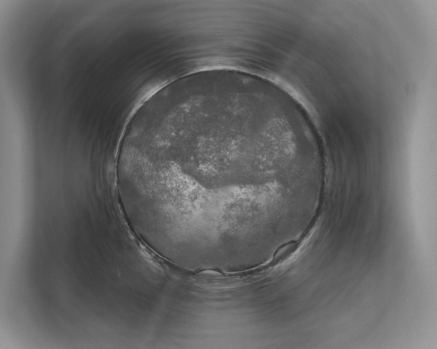 X0000112021145200908171425