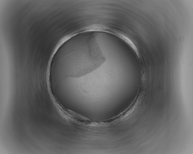 X0000112021146200908171425