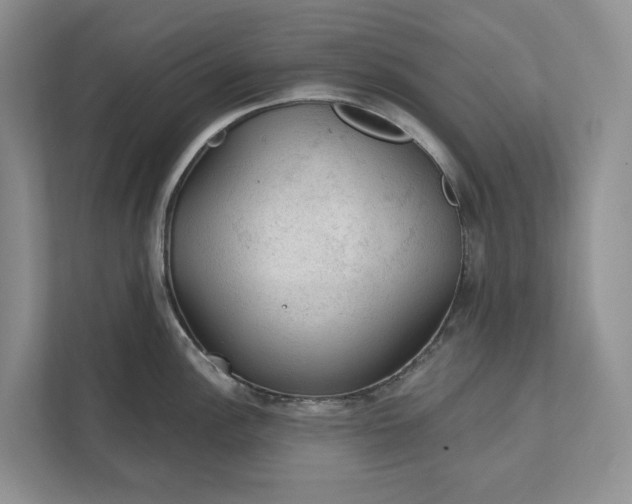 X0000112021148200908171425