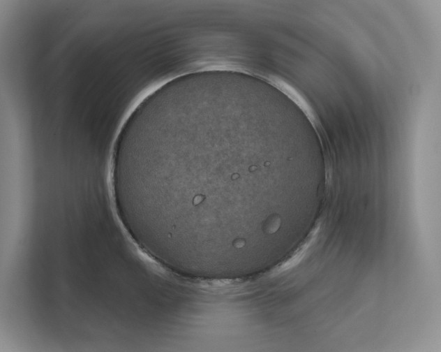 X0000112021149200908171425