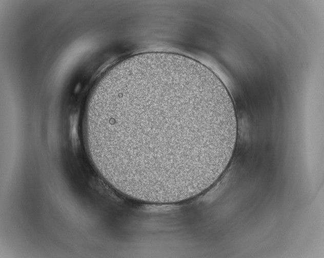 X0000112021150200908171425