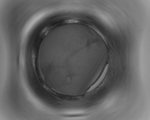 X0000112021151200908171425