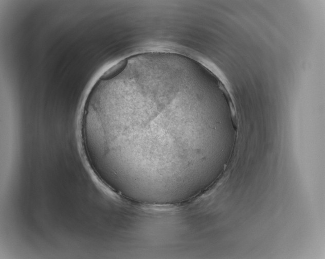 X0000112021152200908171425