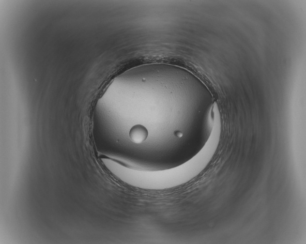 X0000112021153200908171424