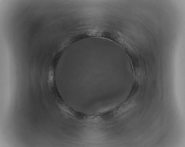 X0000112021154200908171424