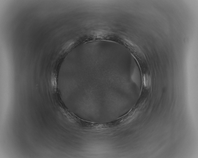 X0000112021155200908171424