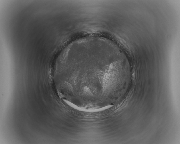 X0000112021156200908171424