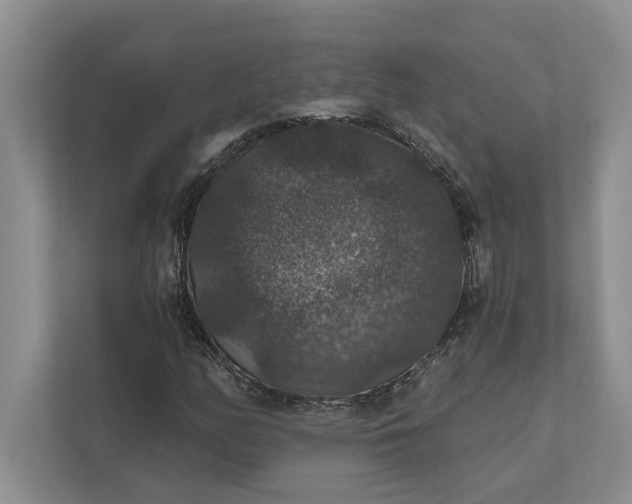 X0000112021158200908171424