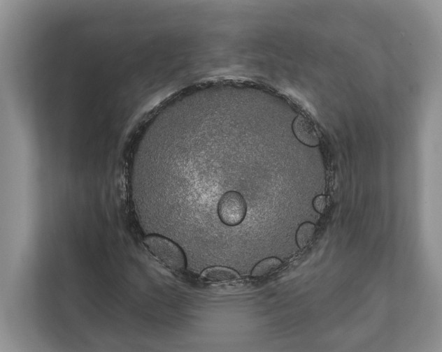 X0000112021159200908171424