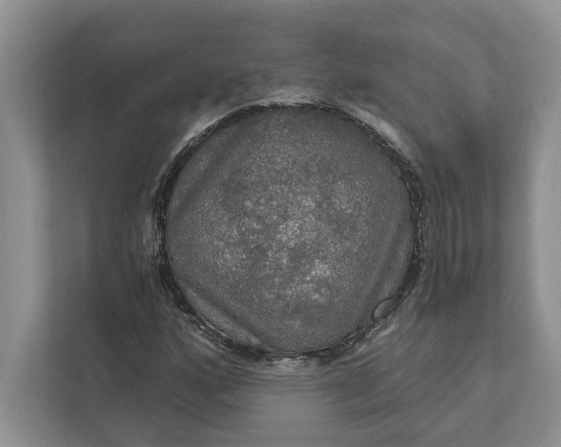 X0000112021160200908171424