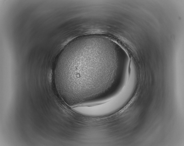 X0000112021161200908171424