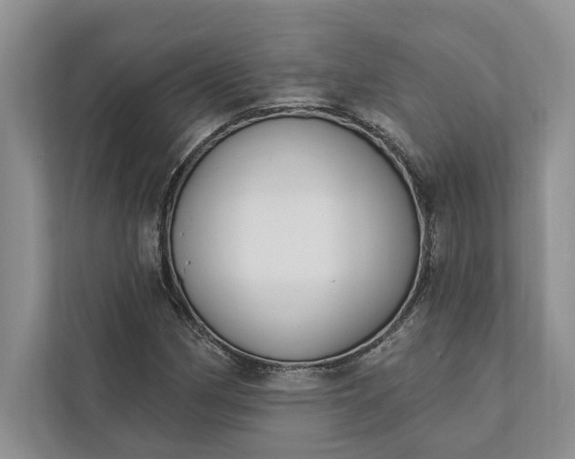 X0000112021162200908171424