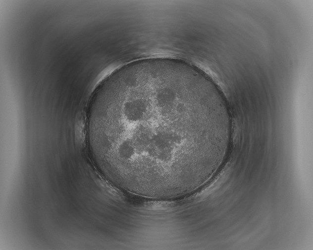 X0000112021163200908171424