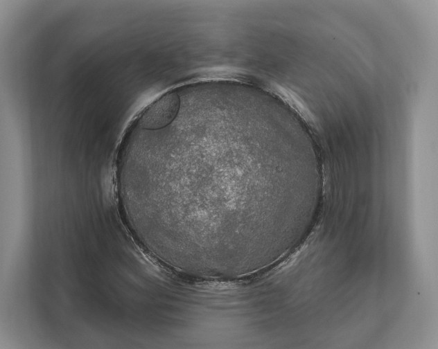 X0000112021164200908171424