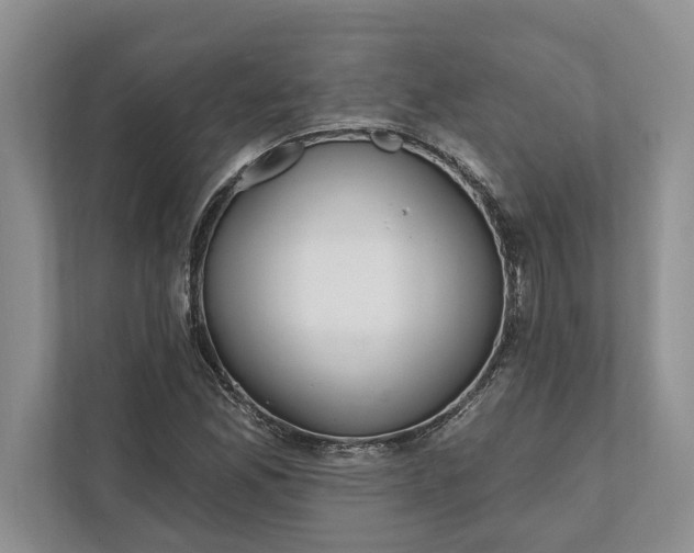 X0000112021165200908171424