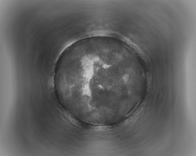 X0000112021166200908171424