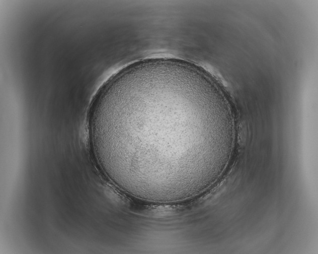 X0000112021167200908171424