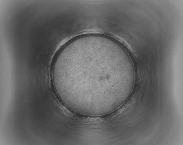 X0000112021168200908171424