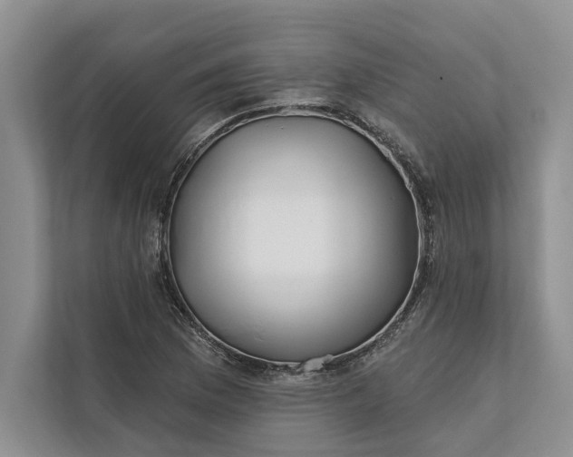 X0000112021169200908171424