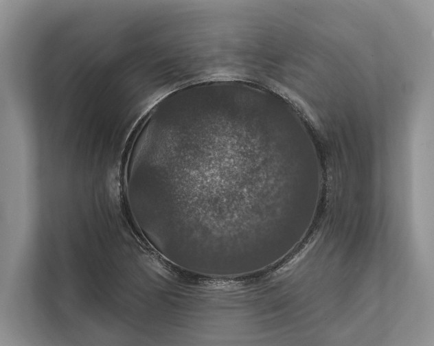 X0000112021170200908171424