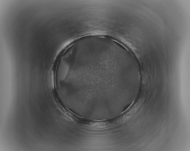 X0000112021171200908171424