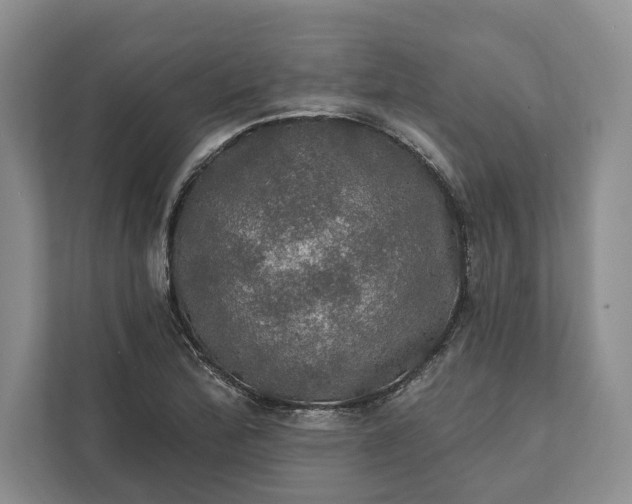 X0000112021172200908171424