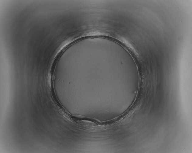 X0000112021173200908171424