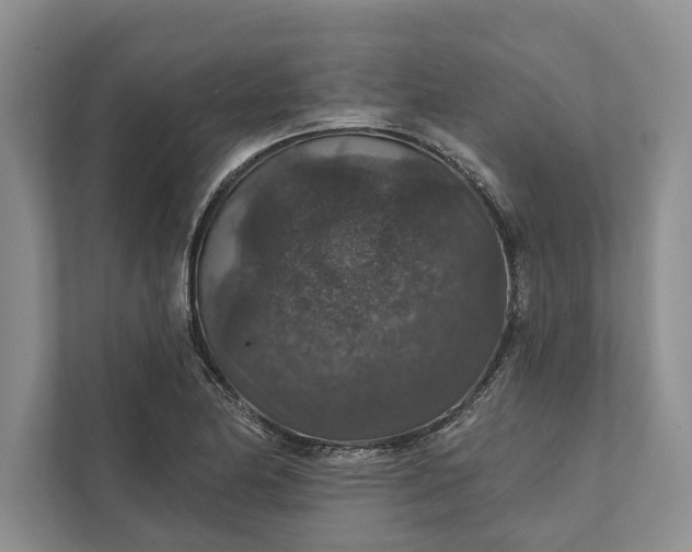 X0000112021174200908171424