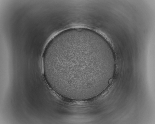 X0000112021175200908171424