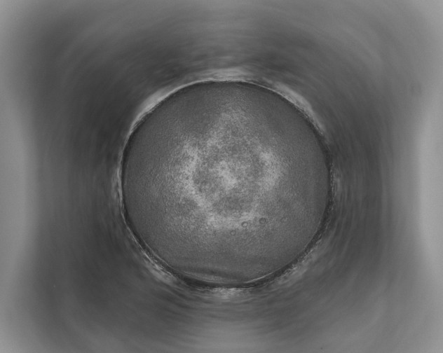 X0000112021176200908171424