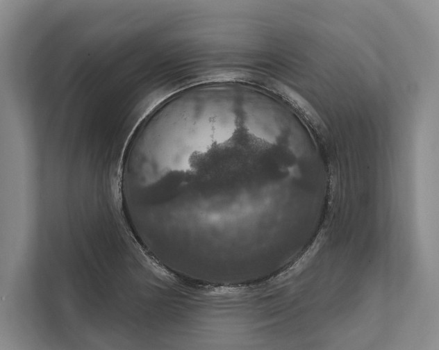 X0000112021178200908171424