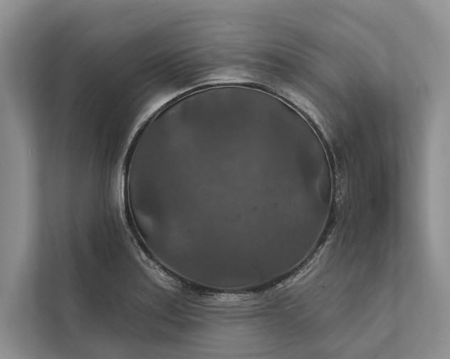 X0000112021179200908171424