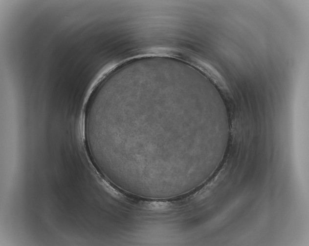 X0000112021180200908171424