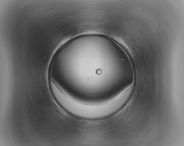 X0000112021181200908171424