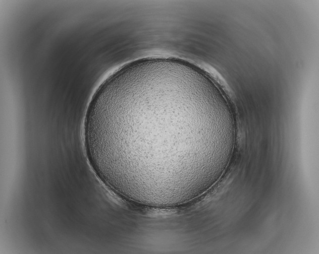 X0000112021183200908171424