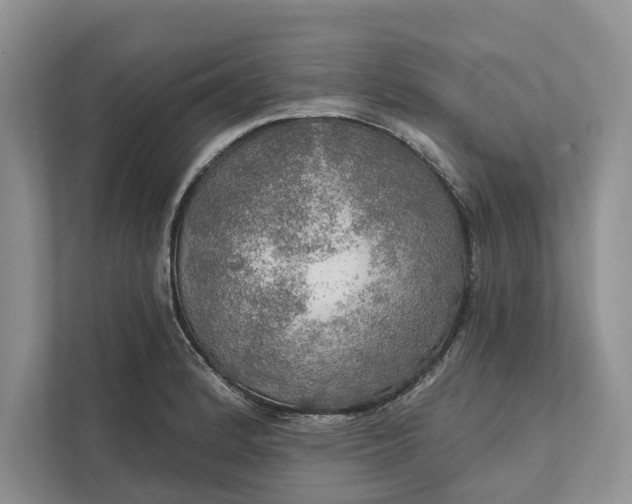 X0000112021184200908171424