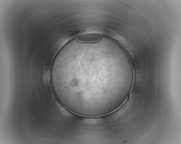 X0000112021185200908171424