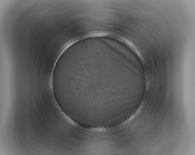 X0000112021186200908171424