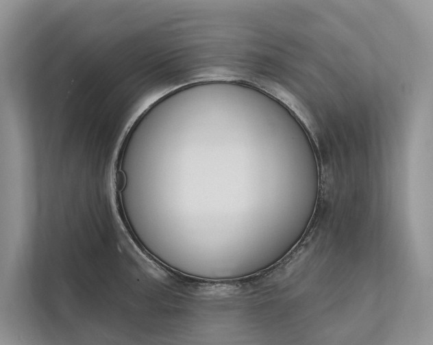 X0000112021187200908171424