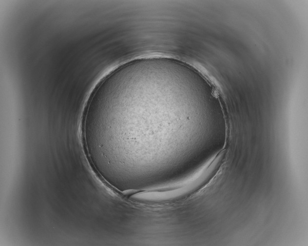 X0000112021189200908171424