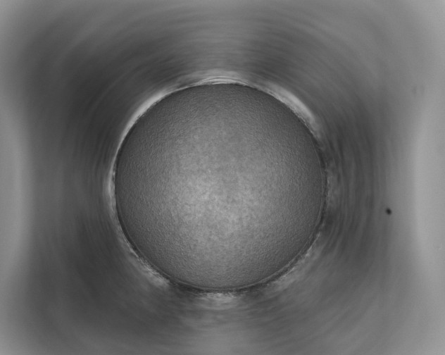 X0000112021190200908171424