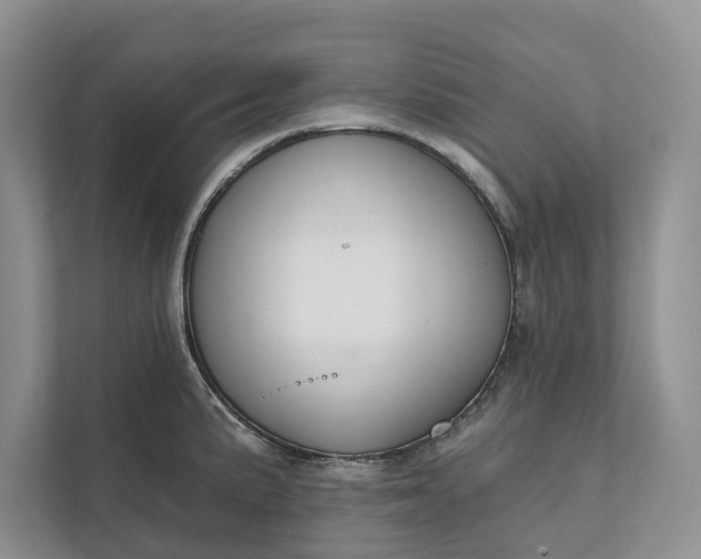 X0000112021191200908171424